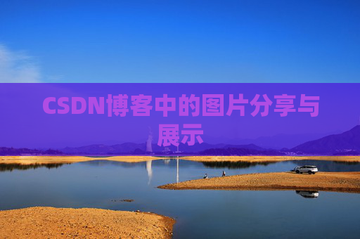 CSDN博客中的图片分享与展示